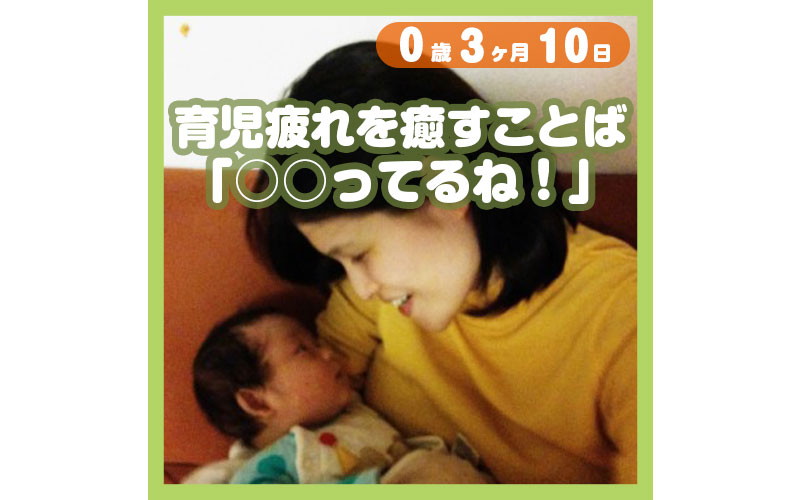 育児疲れを癒すことば ってるね コレ芝 幼児日本語教育