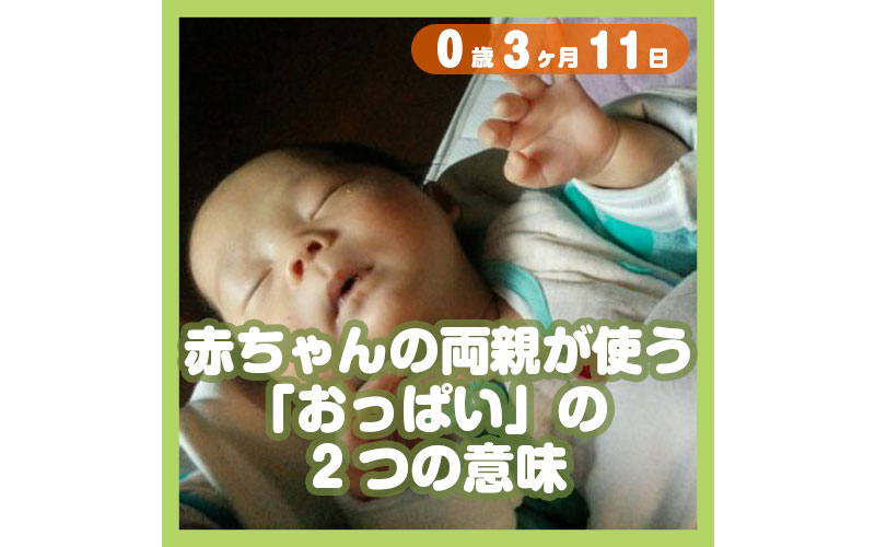 0-03-11_赤ちゃんの両親が使う「おっぱい」の2つの意味_800