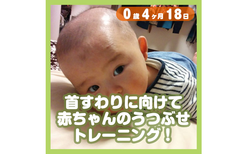 首すわりに向けて うつぶせトレーニング コレ芝 幼児日本語教育