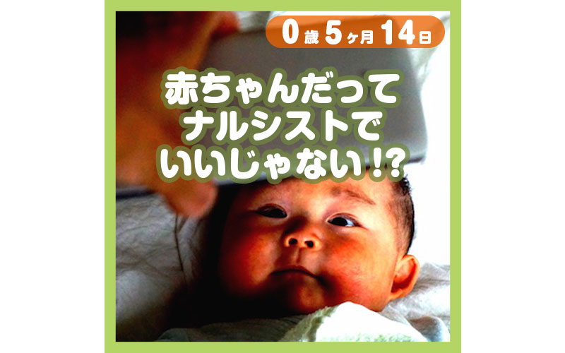 ナルシストでいいじゃない コレ芝 幼児日本語教育