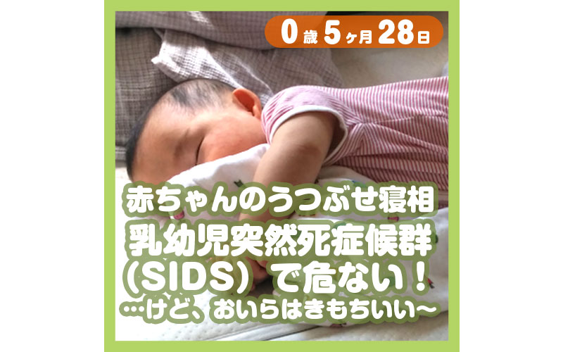 0-05-28_赤ちゃんのうつぶせ寝相、乳幼児突然死症候群（SIDS）で危ない！……けど、おいらは、きもちいい〜_800