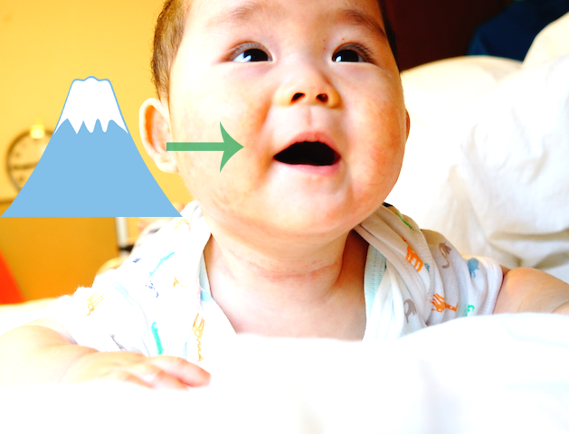 赤ちゃんの 萌え を夫婦で語り合おう コレ芝 幼児日本語教育