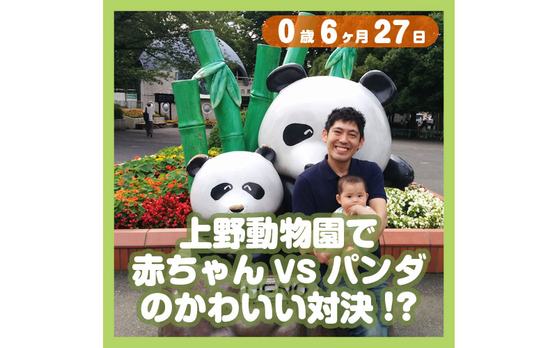 0-06-27_上野動物園で赤ちゃんVSパンダのかわいい対決！？_800