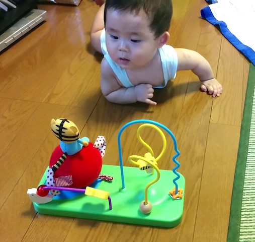8ヶ月赤ちゃん おもちゃ目指してよちよちずり這い 感情が爆発 コレ芝 幼児日本語教育