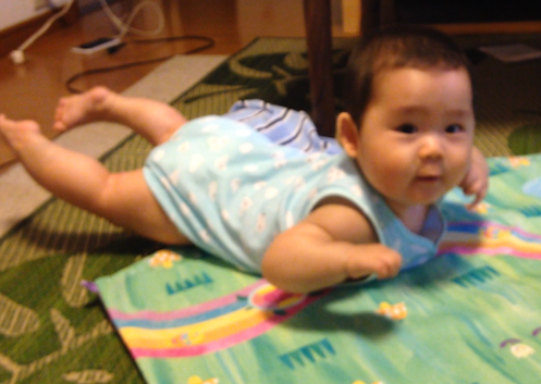 7ヶ月赤ちゃん 無我夢中で腹ばいから 飛行機 コレ芝 幼児日本語教育