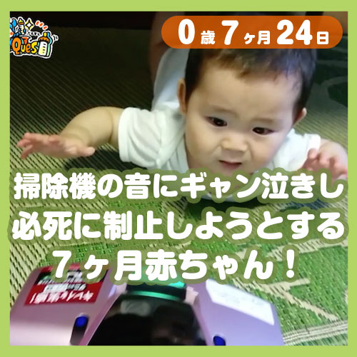 掃除機の音にギャン泣きし 必死に制止しようとする7ヶ月赤ちゃん コレ芝 幼児日本語教育