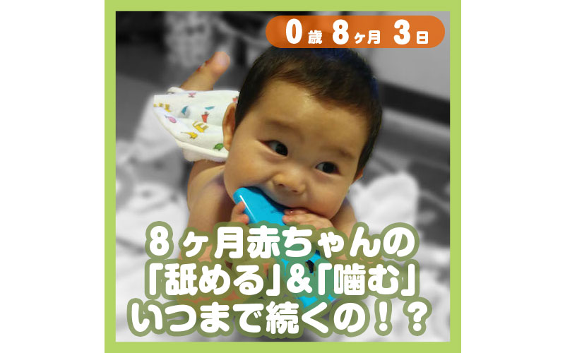 8ヶ月赤ちゃんの 舐める 噛む いつまで続くの コレ芝 幼児日本語教育