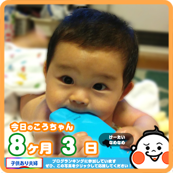 8ヶ月赤ちゃんの 舐める 噛む いつまで続くの コレ芝 幼児日本語教育