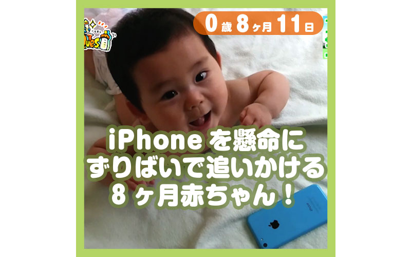 0-08-11_iPhoneを懸命にずりばいで追いかける8ヶ月赤ちゃん！_800