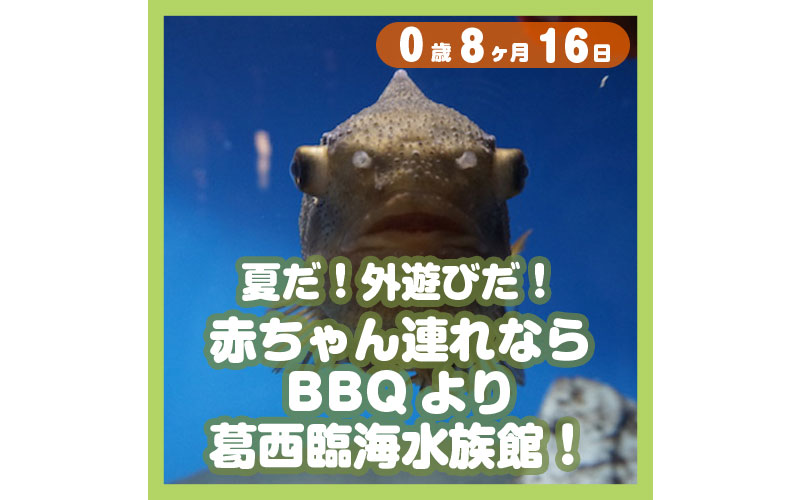 夏だ 外遊びだ 赤ちゃん連れならbbqより葛西臨海水族館 コレ芝 幼児日本語教育