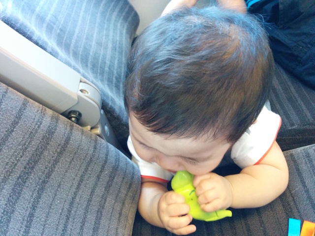 赤ちゃん,8ヶ月,８カ月,新幹線,電車,ぐずり,泣き止ませ