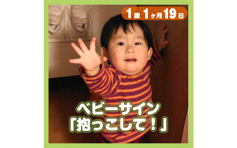 1歳1ヶ月赤ちゃんのベビーサイン 抱っこして そしてパパも コレ芝 幼児日本語教育