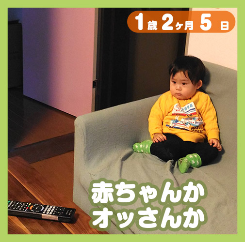 赤ちゃんは 天使かちっちゃいおっさんか コレ芝 幼児日本語教育