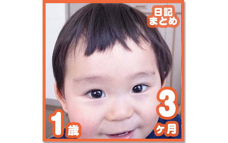 1歳3ヶ月赤ちゃんの成長記 コレ芝 幼児日本語教育