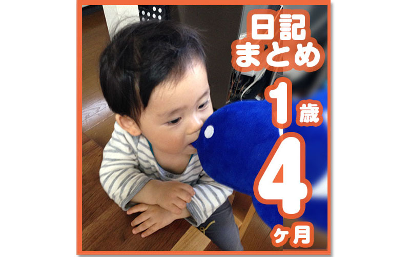 1歳4ヶ月赤ちゃんの成長記 コレ芝 幼児日本語教育