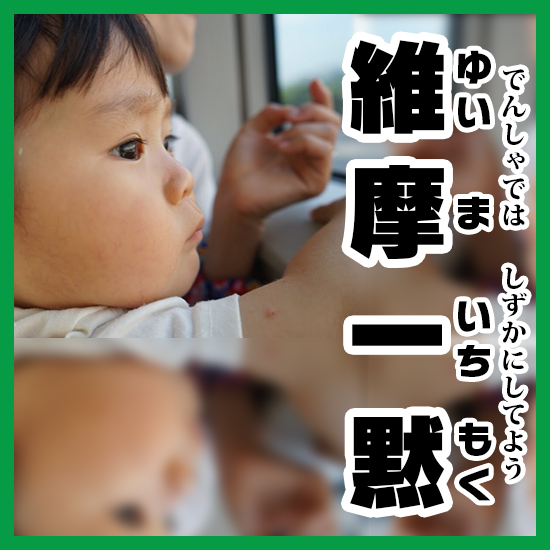 写真で維摩一黙 ゆいま の いちもく の意味と使い方を解説 コレ芝 幼児日本語教育