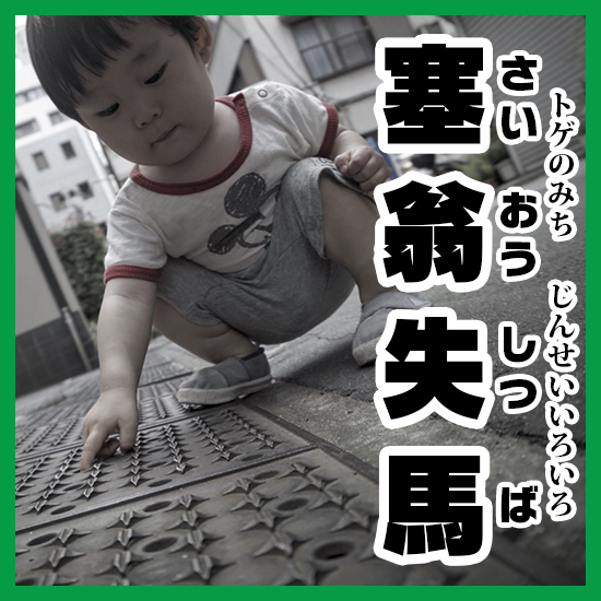 写真で塞翁失馬 さいおうしつば の意味と使い方を解説 コレ芝 幼児日本語教育