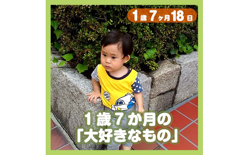 1歳7ヶ月赤ちゃんは 車とポテチが大好き コレ芝 幼児日本語教育