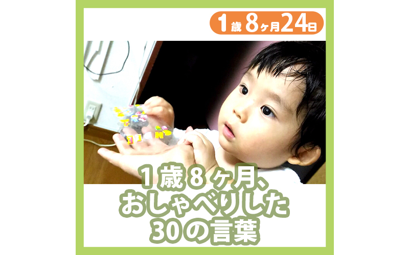 1歳8か月 おしゃべりした38の言葉 コレ芝 幼児日本語教育